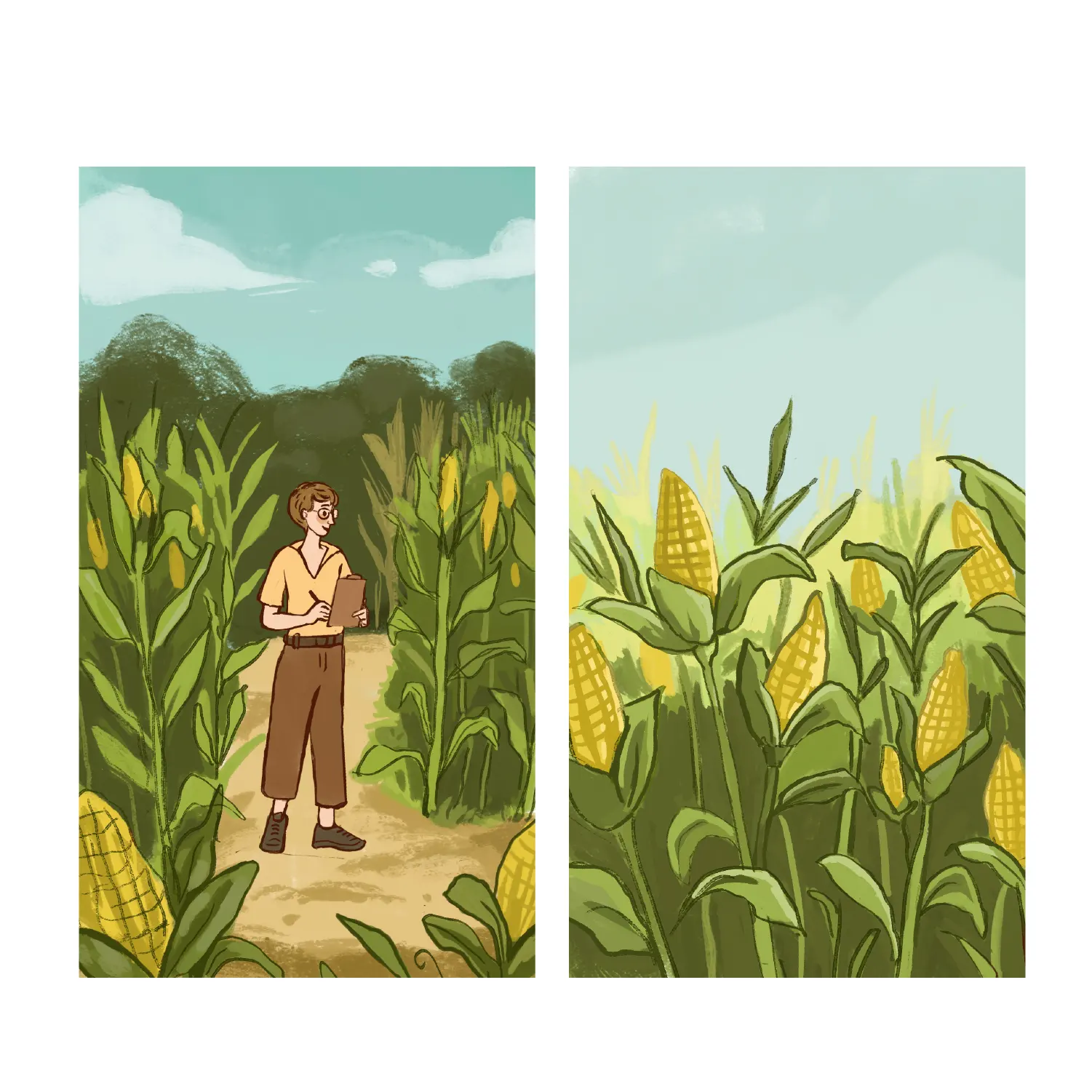 Barbara McClintock 03