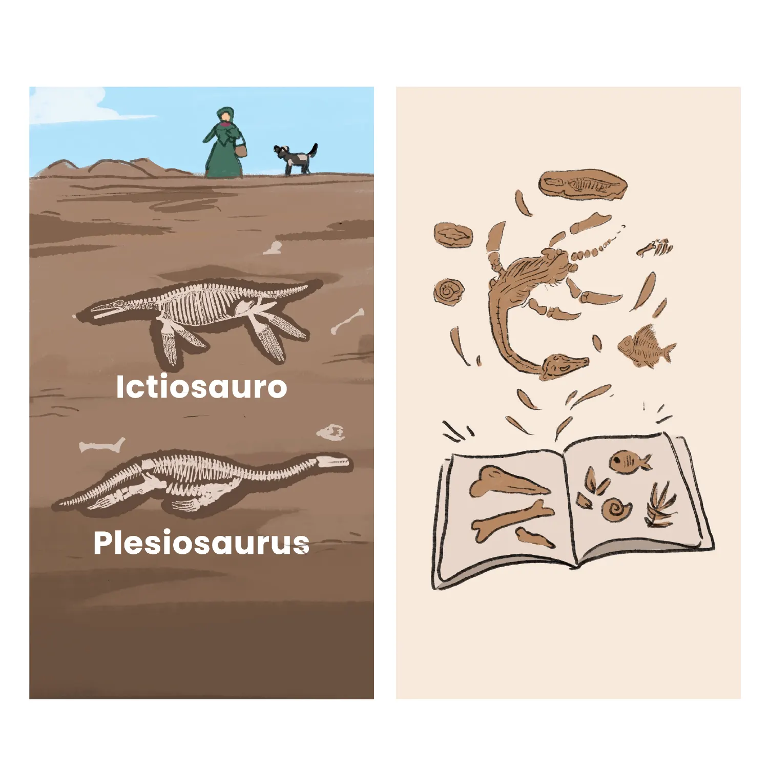 Mary Anning 04